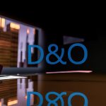 D&O