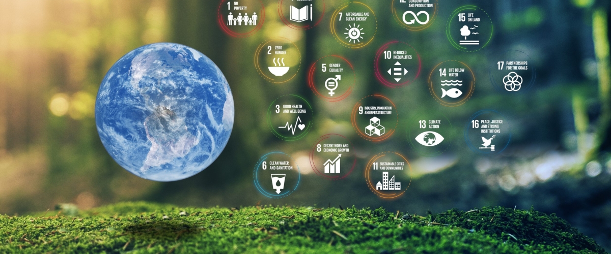 17,Global,Goals,Concept,Photo,Realistic,Earth,Design,In,Moss
